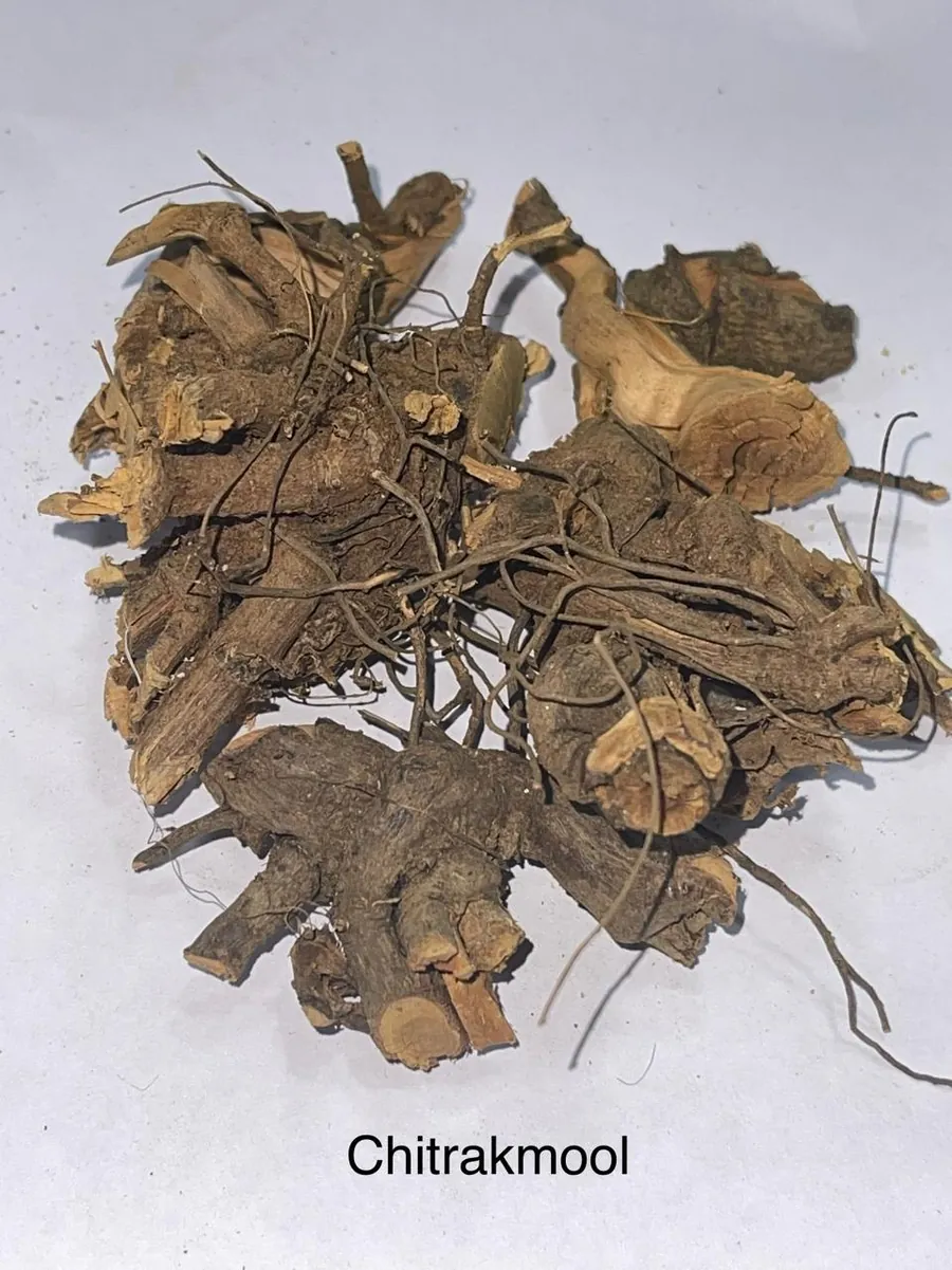Chitrakmool