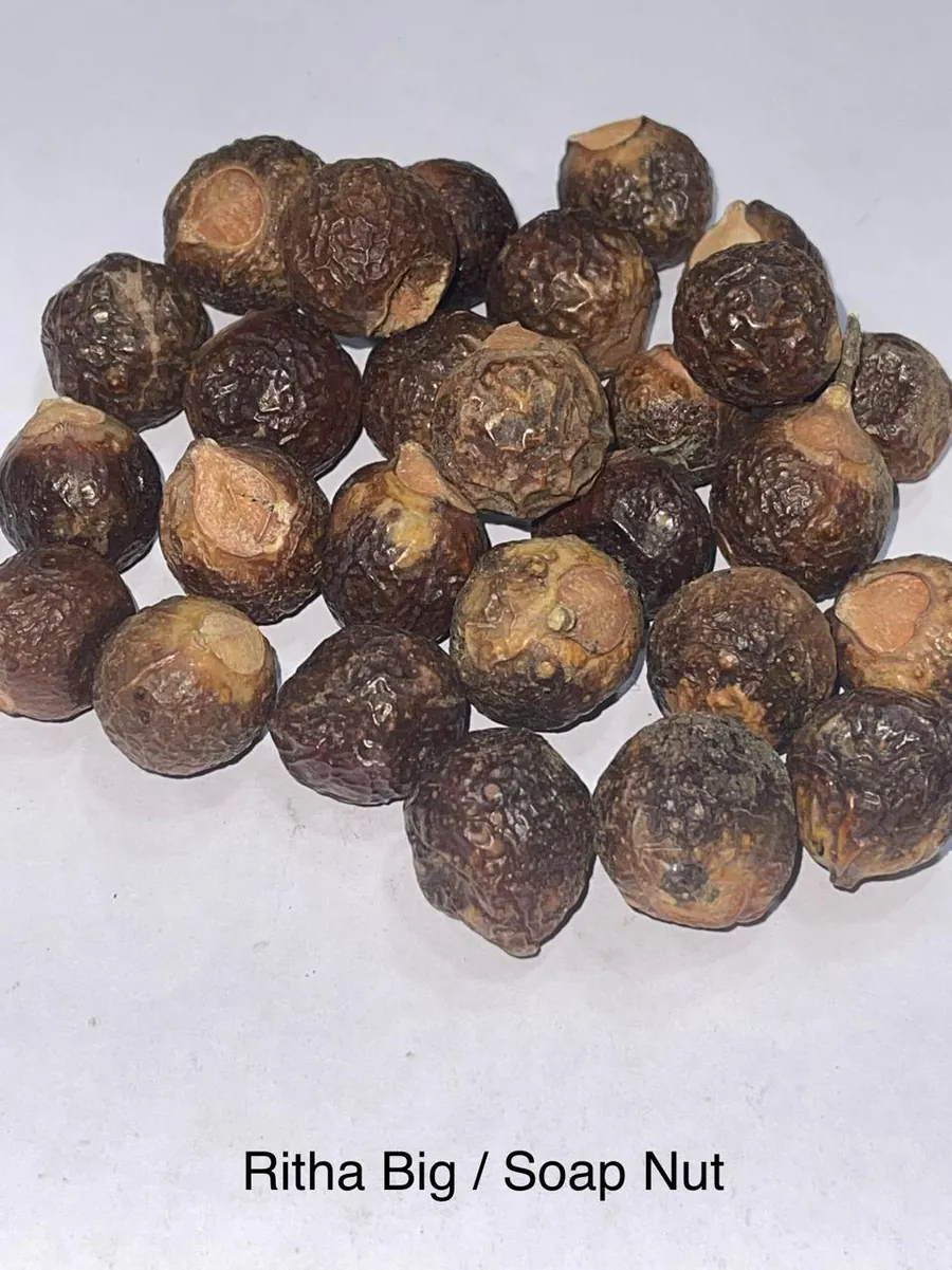Ritha Big / Soap Nut